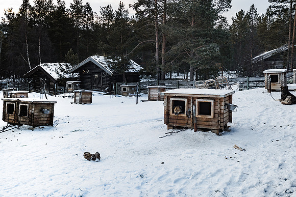20211107_Engholm Husky-7435-2