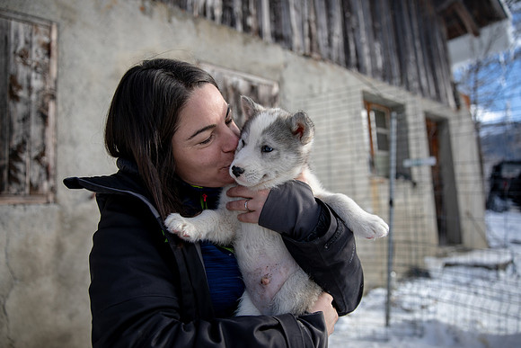 20181220_huskypuppies-9334