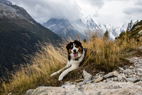 Walkies with Split low res