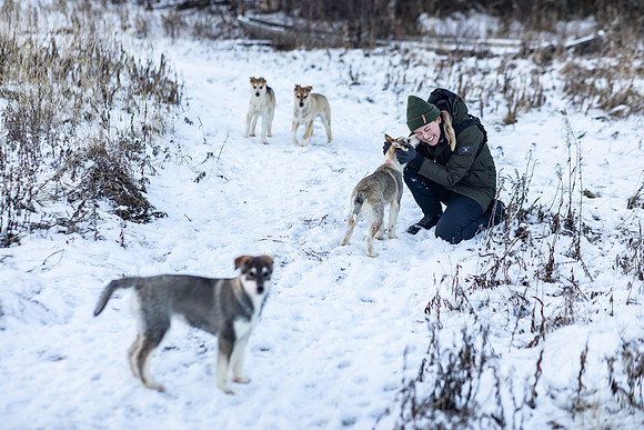20211107_Engholm Husky-7238