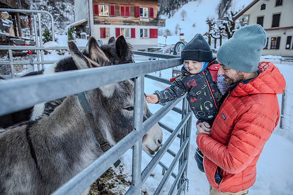 20241231_Xmas Hols 24-9169