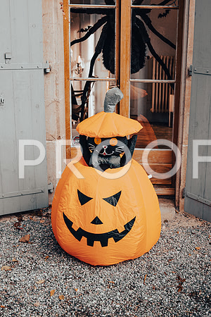 20211031_Ojjeh Halloween 21-1812