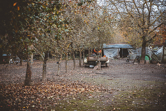 20211123_Picardyfamily-9329