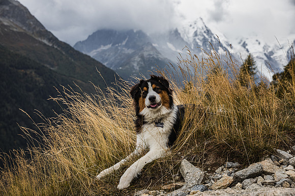 20211003_Walkies-0713