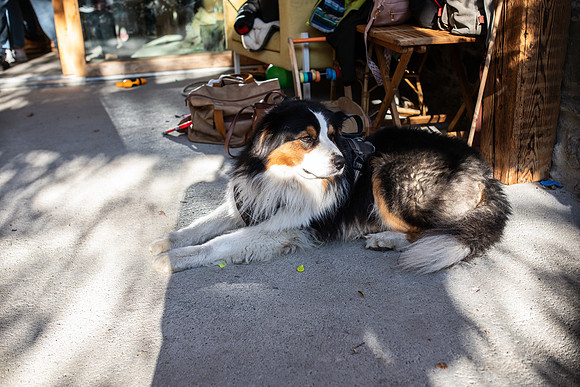 20251011_Zians 3rd Birthday-1250-low-res-2019-2