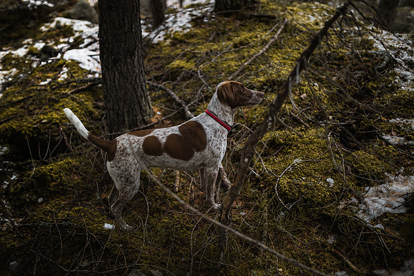 20191114_Joel&Lauren-7930