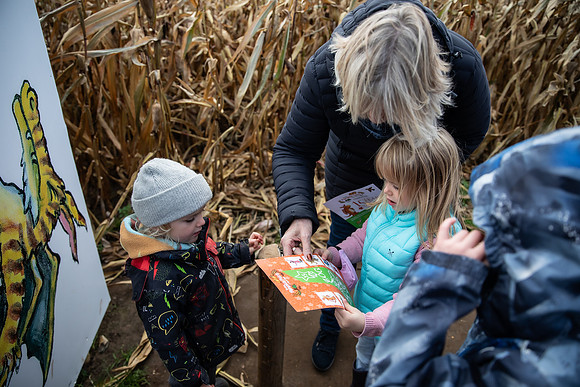 20251028_Pumpkin Kids-0234