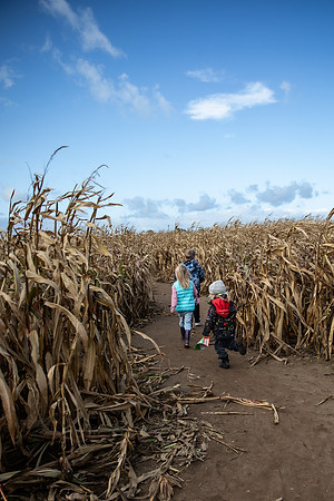 20251028_Pumpkin Kids-0245