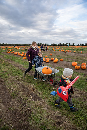 20251028_Pumpkin Kids-0305