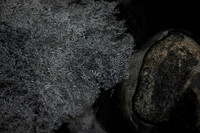 20260317_Isbreen-4068