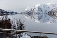 20260317_Isbreen-5289