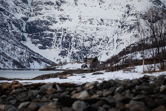 20260317_Isbreen-4344