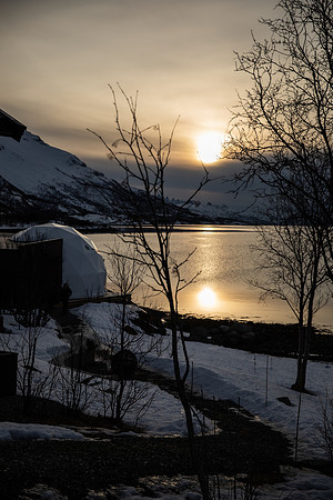 20260317_Isbreen-5431