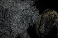 20260317_Isbreen-4068