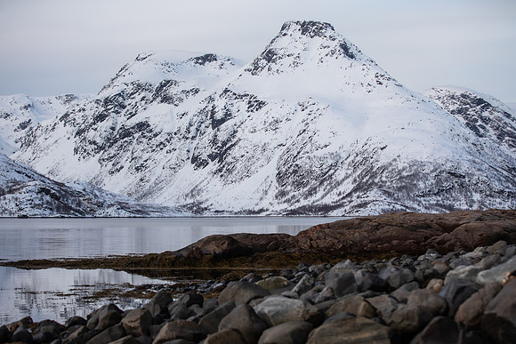 20260317_Isbreen-4320