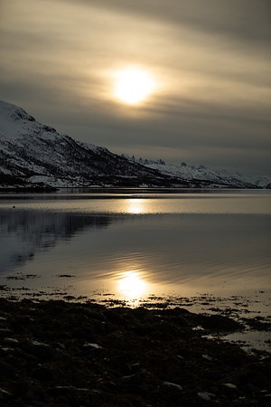 20260317_Isbreen-4408