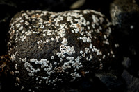 20260317_Isbreen-4410