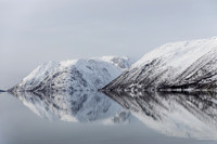 20260317_Isbreen-5288