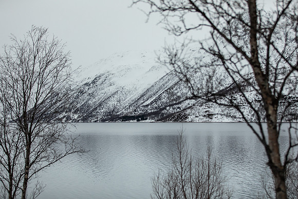 20260317_Isbreen-3966