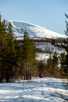 20260317_Isbreen-4115