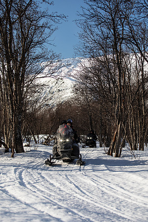 20260317_Isbreen-4186