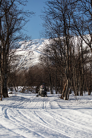 20260317_Isbreen-4169