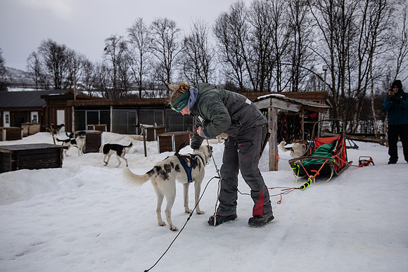 20260319_KILGORE DOG SLEDDING-5703