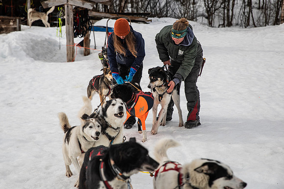 20260319_KILGORE DOG SLEDDING-5752