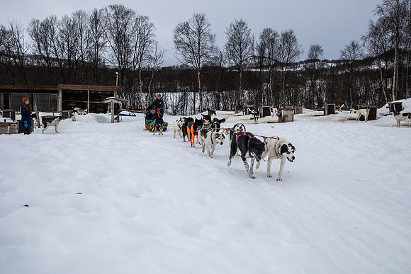 20260319_KILGORE DOG SLEDDING-5779