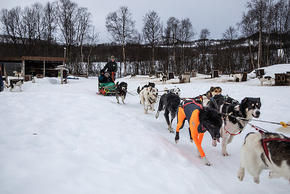 20260319_KILGORE DOG SLEDDING-5782
