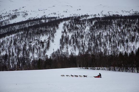 20260319_KILGORE DOG SLEDDING-5798