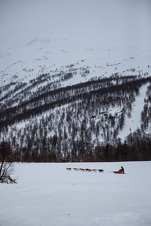 20260319_KILGORE DOG SLEDDING-5805