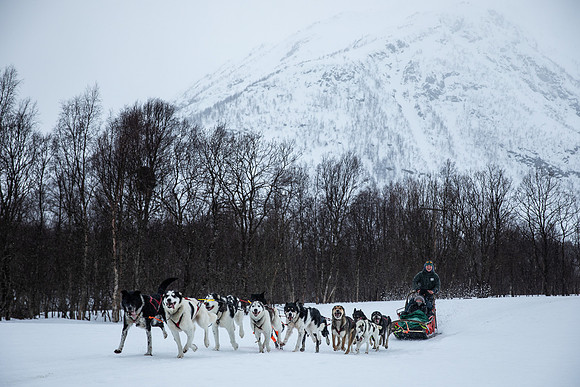 20260319_KILGORE DOG SLEDDING-5827