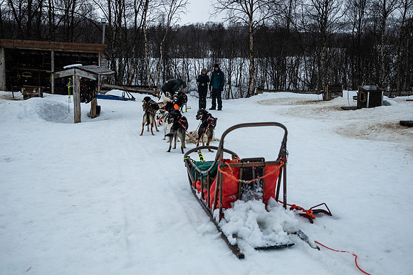 20260319_KILGORE DOG SLEDDING-5857