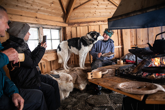 20260319_KILGORE DOG SLEDDING-5900
