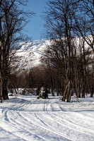 20260317_Isbreen-4169