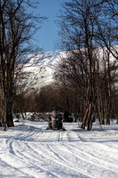 20260317_Isbreen-4178
