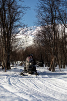 20260317_Isbreen-4186
