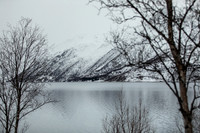 20260317_Isbreen-3966
