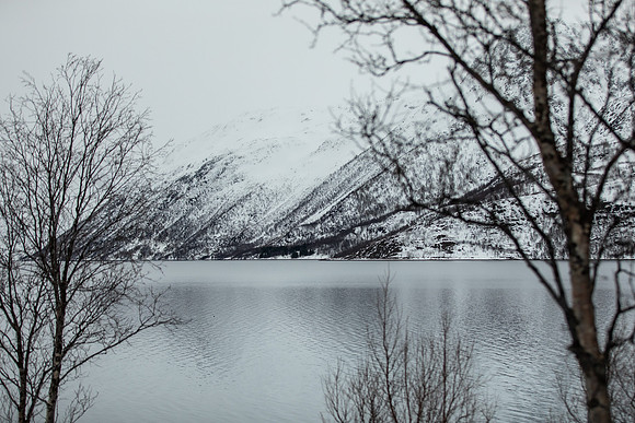 20260317_Isbreen-3966