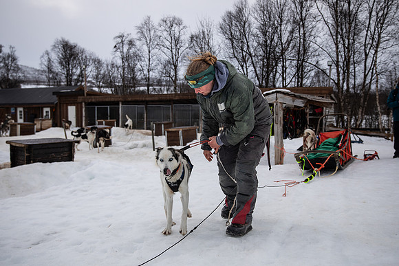 20260319_KILGORE DOG SLEDDING-5705