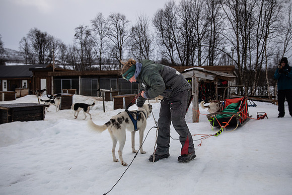 20260319_KILGORE DOG SLEDDING-5703