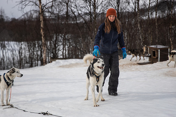 20260319_KILGORE DOG SLEDDING-5721