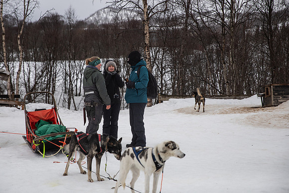 20260319_KILGORE DOG SLEDDING-5727
