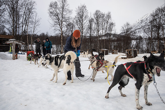 20260319_KILGORE DOG SLEDDING-5724