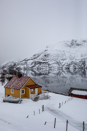 20260317_Isbreen-5272