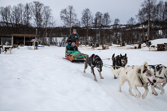 20260319_KILGORE DOG SLEDDING-5784