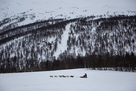 20260319_KILGORE DOG SLEDDING-5804