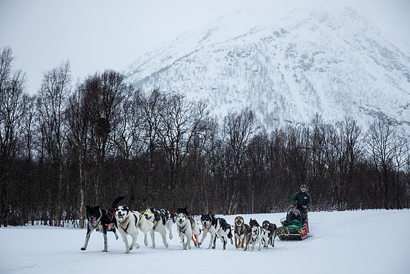 20260319_KILGORE DOG SLEDDING-5827