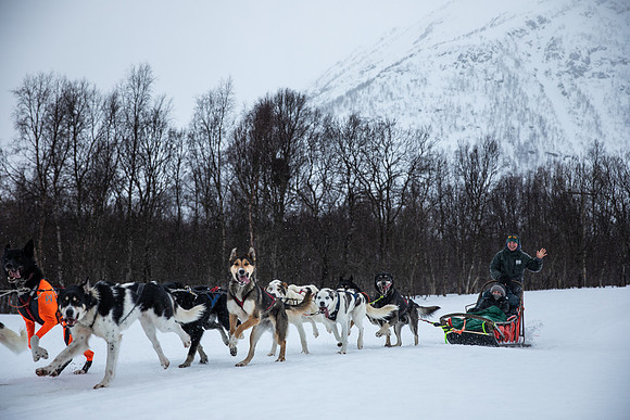 20260319_KILGORE DOG SLEDDING-5832